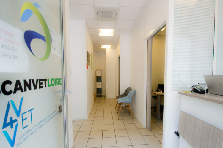 Atelier 423 Scan Vet Loire 01