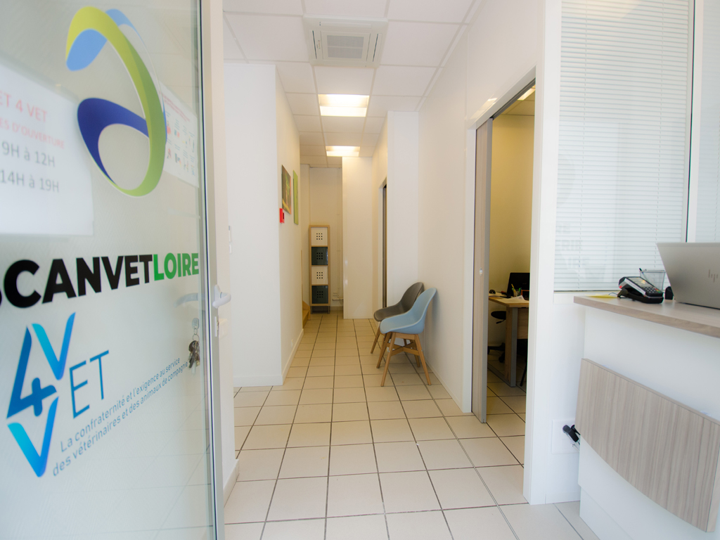 Atelier 423 Scan Vet Loire 01