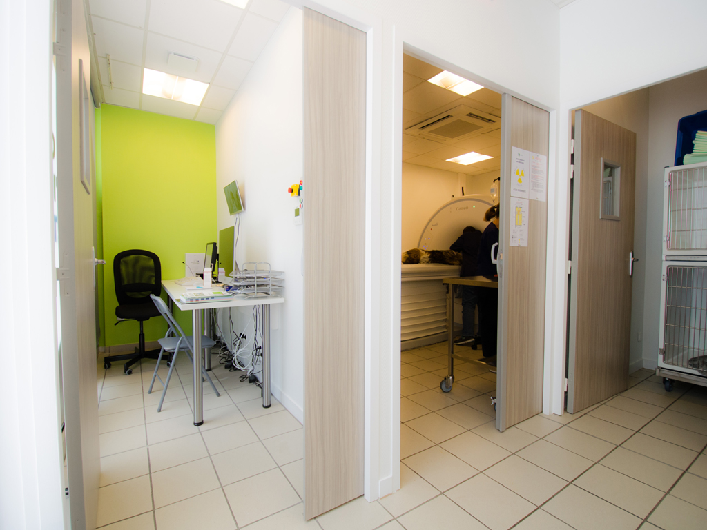 Atelier 423 Scan Vet Loire 02
